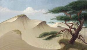 Dunes In Hulshorst by Han Bayens
