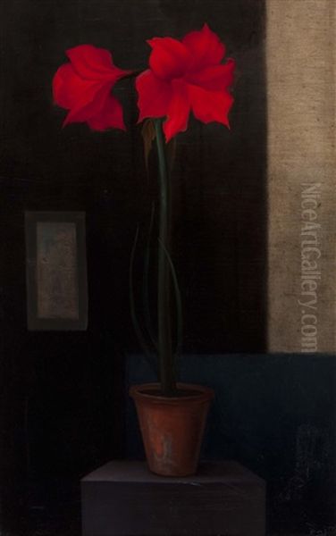 Amaryllis In Earthenware Pot - view 1