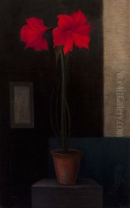 Amaryllis In Earthenware Pot