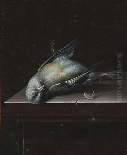 Nature Morte - view 1