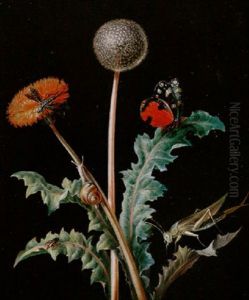 Still Life Of A Grasshopper, A Snail, A Dragonfly, A Beetle And A Butterfly On A Dandelion
