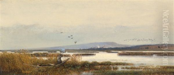 Motiv Bei Rust Am Neusiedlersee - view 1