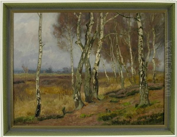 Birken Am Rande Einer Moorlandschaft - view 1