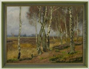 Birken Am Rande Einer Moorlandschaft Birken Am Rande Einer Moorlandschaft