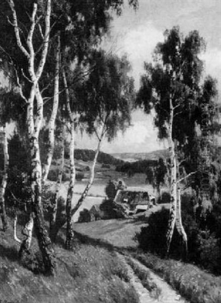 Schwarzwaldlandschaft Mit Birken - view 1
