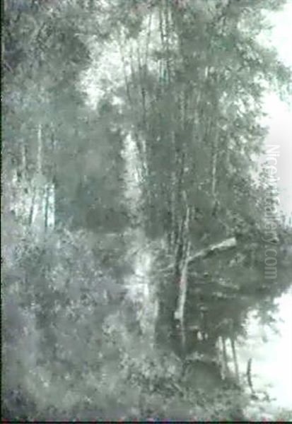 Herbstwald. - view 1