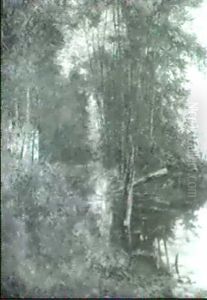 Herbstwald. by Fritz Bayerlein