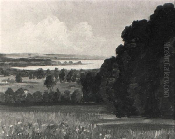 Sommerlandschaft - view 1