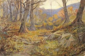 Sous-bois by Louis Noel Ageron