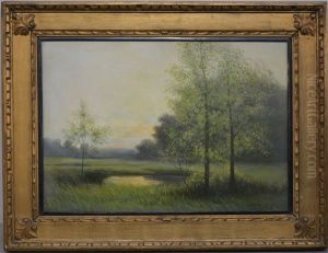 Veduta Con Alberi E Piccolo Specchio D'acqua