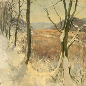 Mosen Ved Bredde by Hans Agersnap
