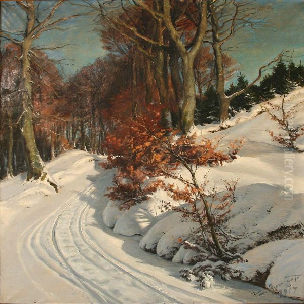 Winter Day On A Forest Road In Munkebjerg, Denmark - view 1