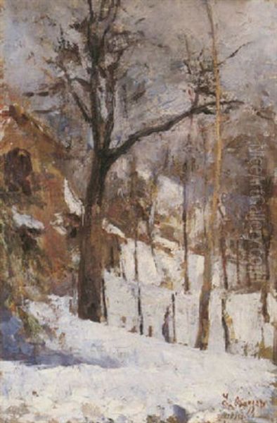 Paesaggio Innevato - view 1