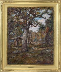 Mason Island Oak