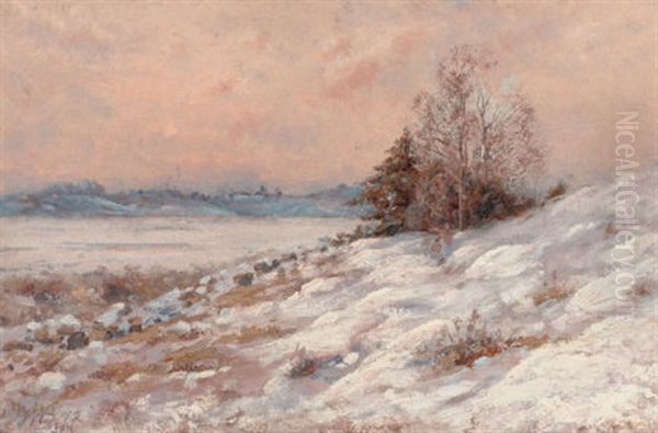 Winter Landscape - view 1