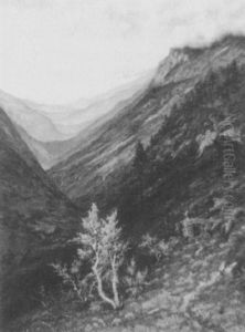 Black Canyon,  Estes Park, Co