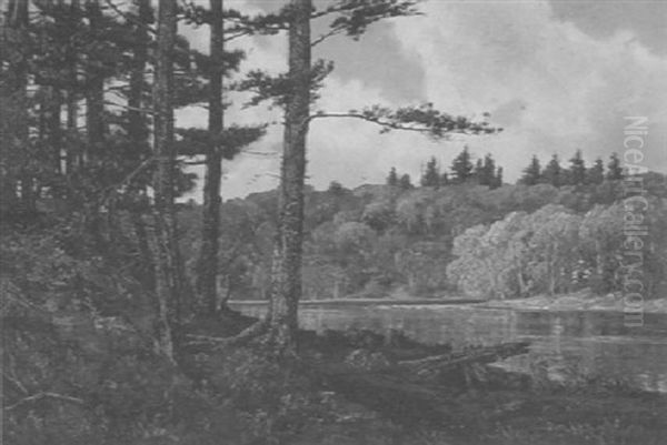 Thoreau Cove, Lake Walden - view 1