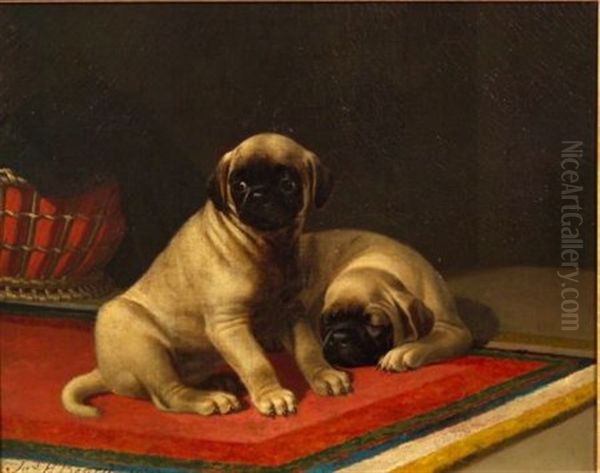 Two Pugs On A Red, White, And Blue Rug - view 1