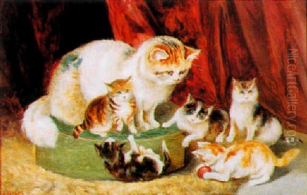 Playing Kittens - view 1