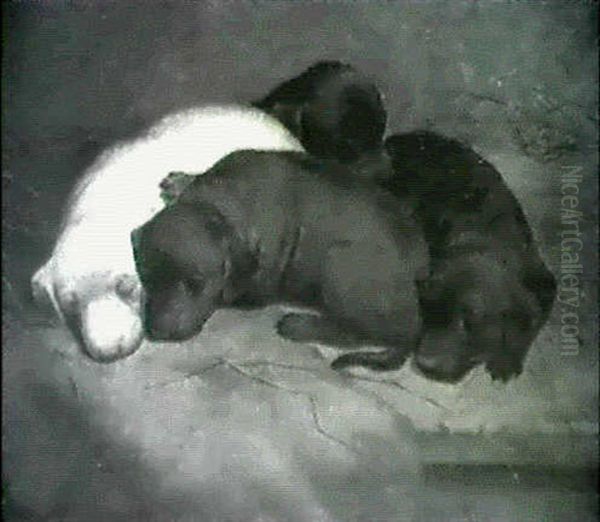 Resting Pups - view 1
