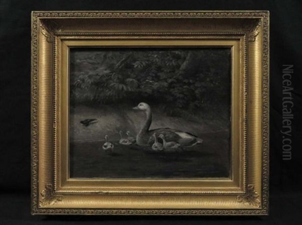 Mother Duck And Ducklings Illustration - view 1