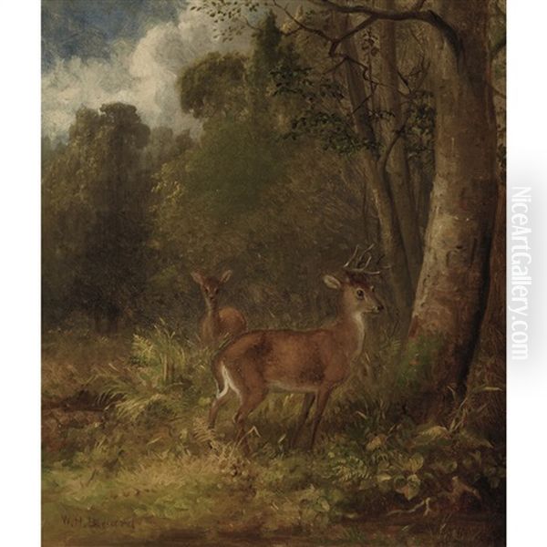 Young Stag And Doe In A Wooded Landscape - view 1
