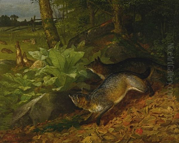 Foxes And Rabbits - view 1