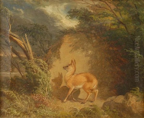 Fawn In Landscape - view 1