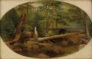 Bear In The Forest
