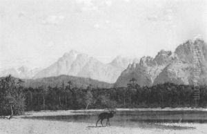Cerf Pres D'un Lac by William Holbrook Beard
