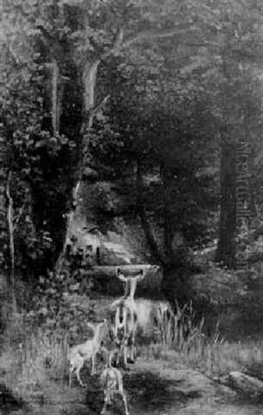 Doe And Fawns By A Pool - view 1