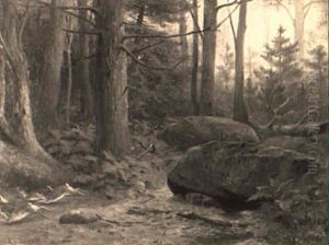 The Bunny Trail