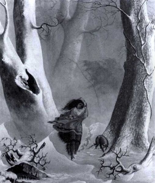 Lost In A Snowstorm - view 1