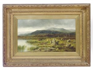 A Moorland Tarn, Glenfeshie, Invernesshire