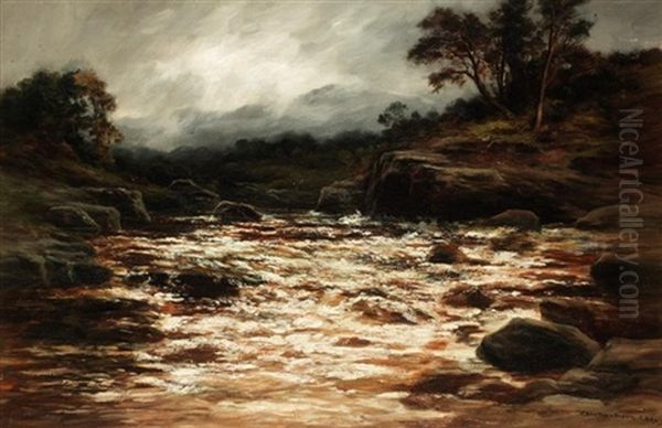 A Perthshire River View - view 1