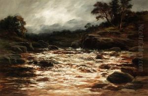 A Perthshire River View
