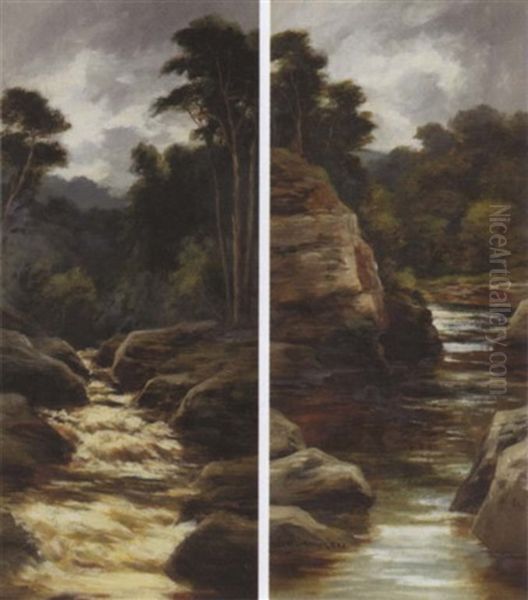 The Falls Of Bruar - view 1