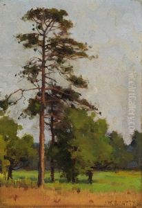 Landscape Landscape