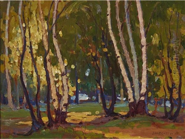 Sunlit Woods - view 1