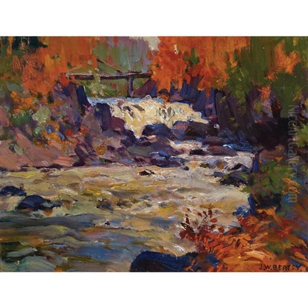 Brooks Falls, Magnetawan River - view 1