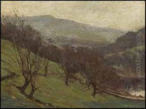 Hill Landscape Hill Landscape