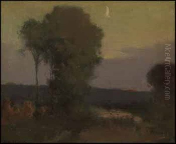 Field In Moonlight - view 1