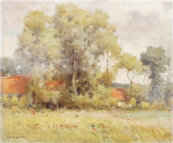 Summer Field - view 1