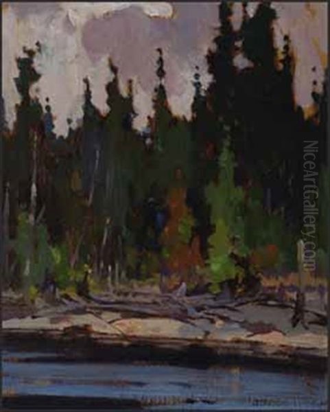 Algonquin Park, Early September - view 1