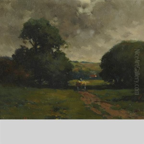 Landscape - view 1