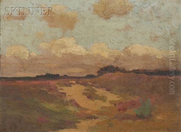 Holland Landscape - view 1