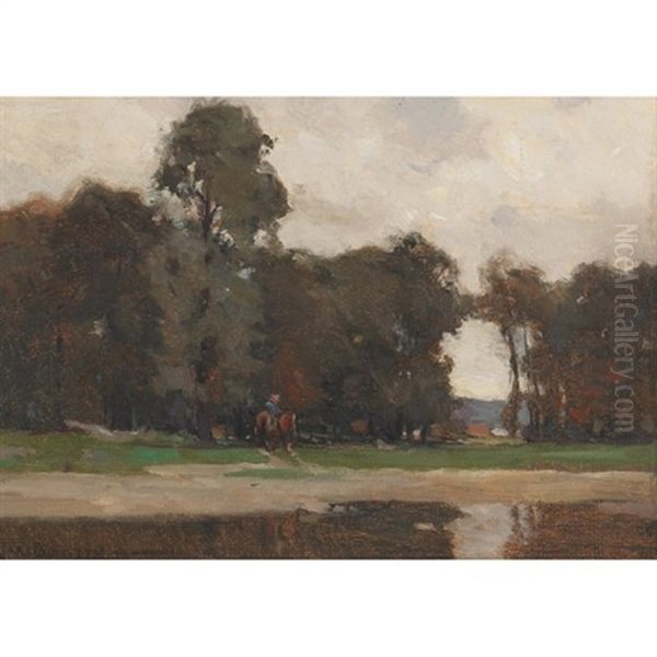 Horse And Rider In A Forest Clearing - view 1