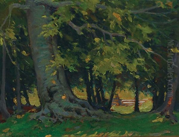 Trees In The Shade - view 1