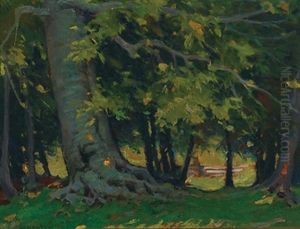 Trees In The Shade