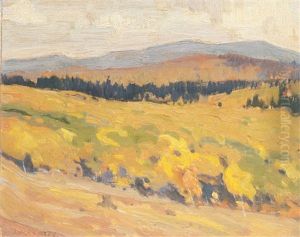 Hills, Canoe Lake, Algonquin Park by John William Beatty